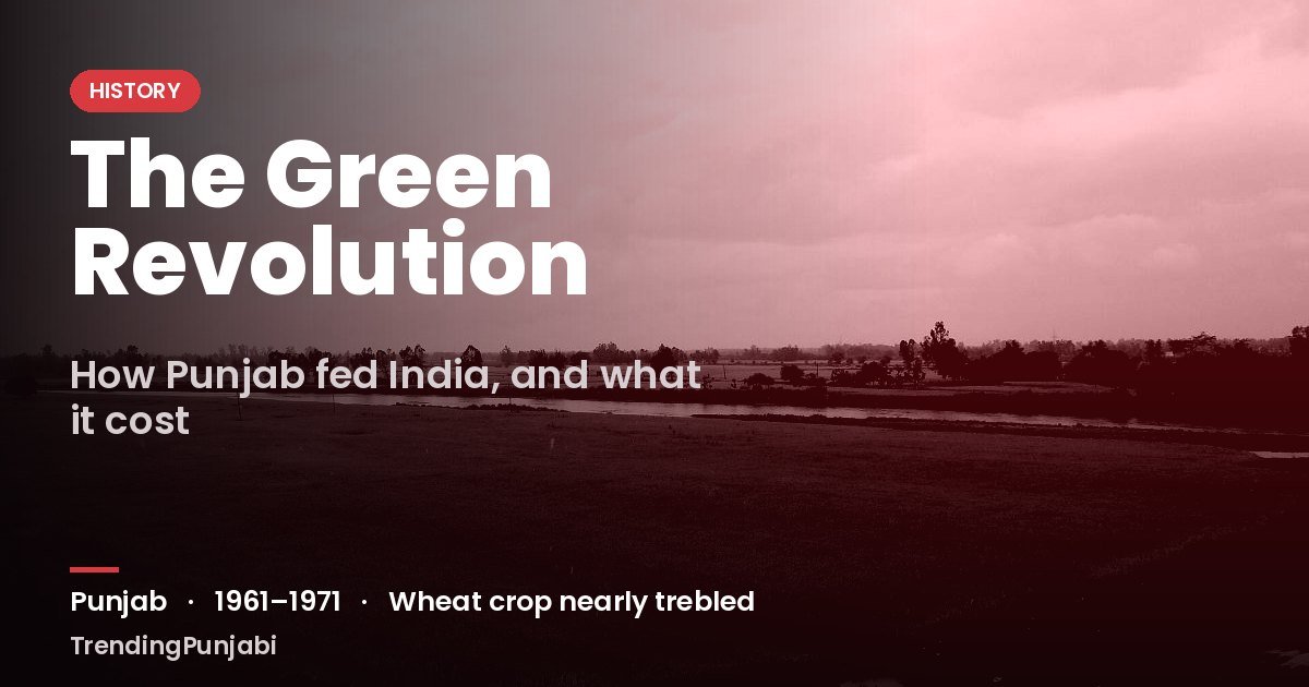 The Green Revolution in Punjab: How a Hungry India Was Fed, and What It Cost the Land of Five Rivers