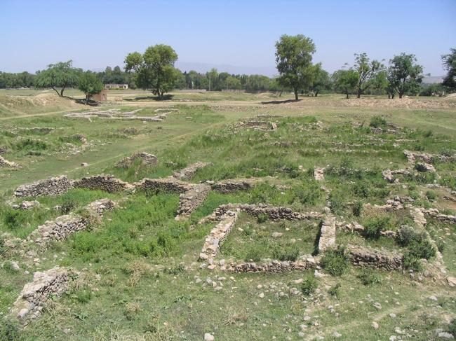 Low excavated stone walls of ancient houses beside a narrow street at an archaeological site, with trees behind