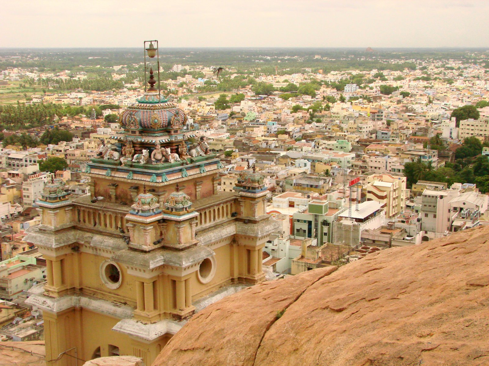 NIT Tiruchirappalli (NIT Trichy)