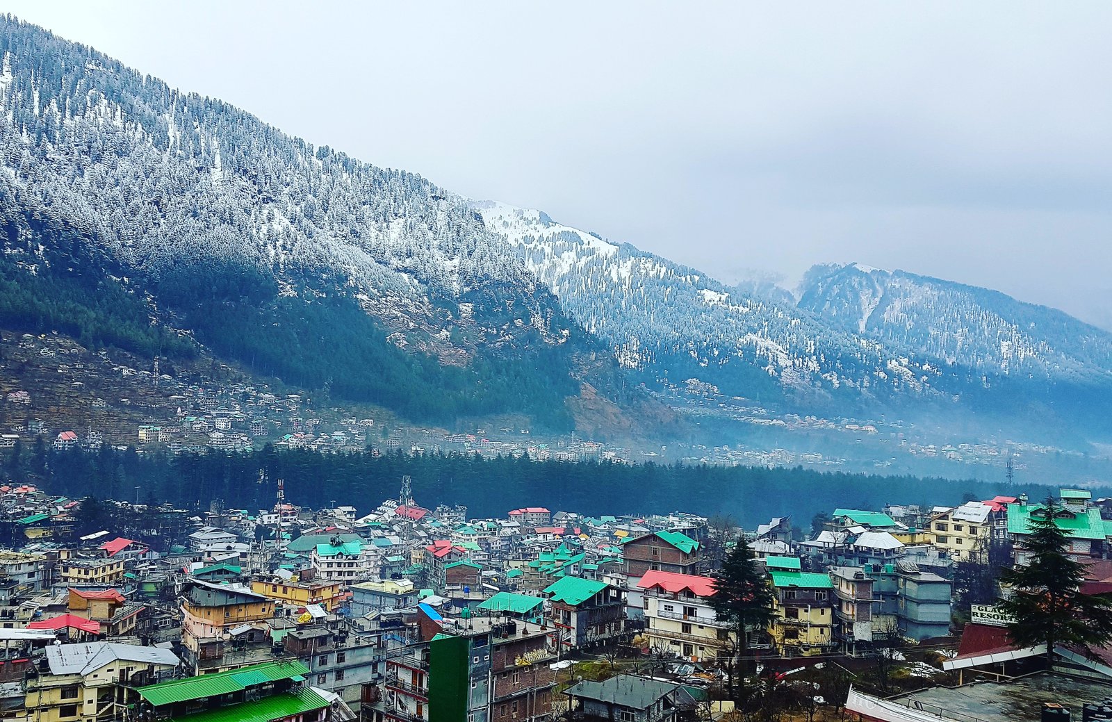 Shimla